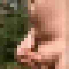 ShavedOlli
