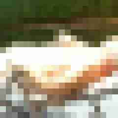 allesficker60