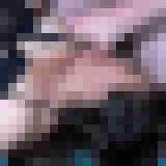 picturefreak