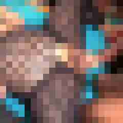 picturefreak