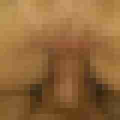DerDo
