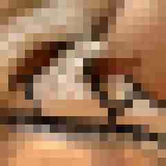 andrexxx