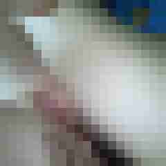 youfortwo
