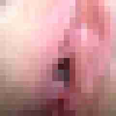 HotFick