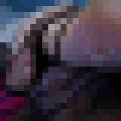 Xearo666