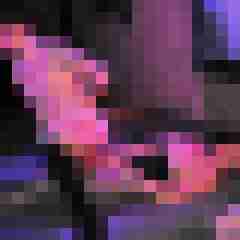 seemann0706