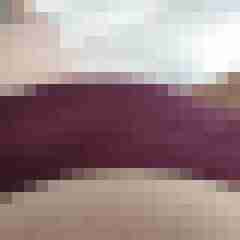 Binsogeil39