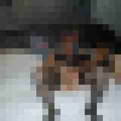youfortwo