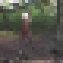 Lolitaboy
