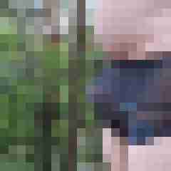 Binsogeil39