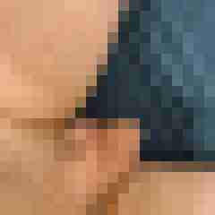 funratte