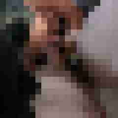 picturefreak
