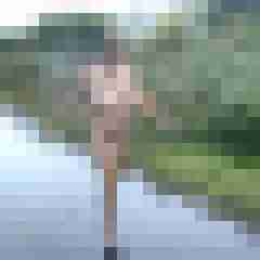 Letsy4u2c
