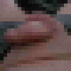 funratte