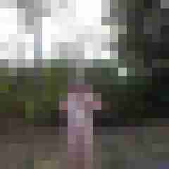 publicstute