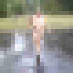 Letsy4u2c