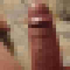 SperX