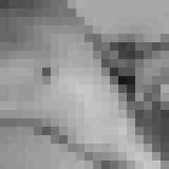 T-Bone_89