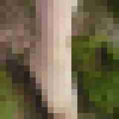 youfortwo