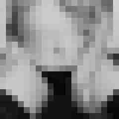 Eule_41
