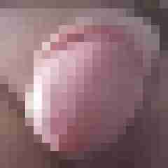 Honigmelone52