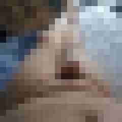 bruba