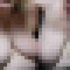 geileSeile
