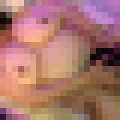 picturefreak