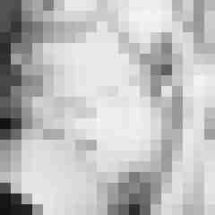 Eule_41