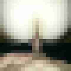 LePopppaar