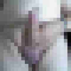cock01