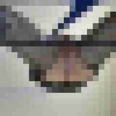 AnaStockings