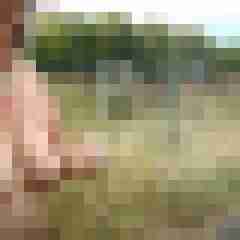 Letsy4u2c