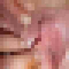 Nylonlove4321