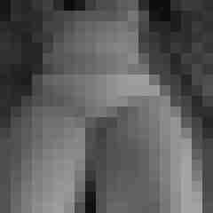 arschstute
