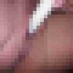 Alexa31