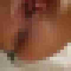 Alexa31