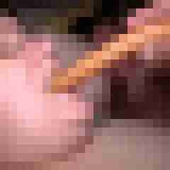 picturefreak