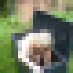 Letsy4u2c