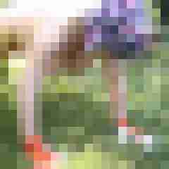 Letsy4u2c