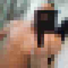 Plantinum08