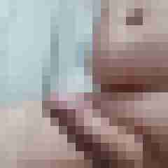 Kater1412