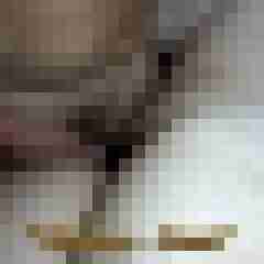 picturefreak