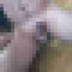 Gerdi01
