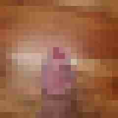 funratte