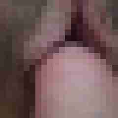 friendly_cock