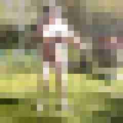 Letsy4u2c