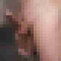 Lex_X