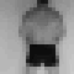 mitchlux