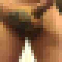 HH_Digga